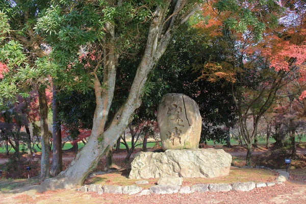 Daikaku Kyoto Japan Herbstsaison — Stockfoto