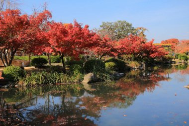 bir kyoto Bahçe için-ji Tapınağı