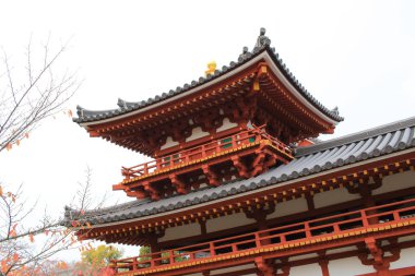 Byodo-In Tapınağı sonbahar sezon