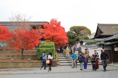 Byodo Bahçe tapınağın Kyoto, Japonya