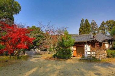 Daikaku-ji, kyoto Japonya sonbahar sezon