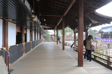 Daikaku-ji, kyoto Japonya sonbahar sezon