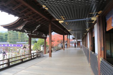 Daikaku-ji, kyoto Japonya sonbahar sezon