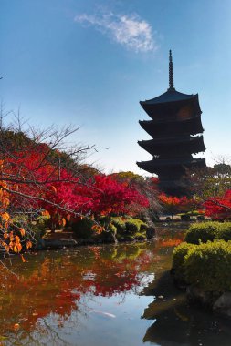 Sonbahar sezonu kyoto sırasında ji için Pagoda, Japonya