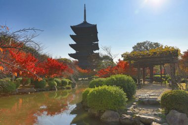 Sonbahar sezonu kyoto sırasında ji için Pagoda, Japonya