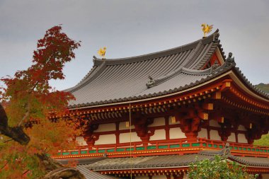 Phoenix Byodo Hall içinde tapınakta Kyoto