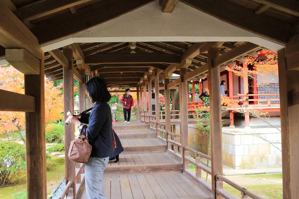 Daikaku Giappone Kyoto Stagione Autunnale — Foto Stock