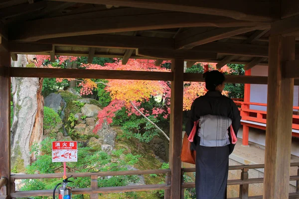 Interiér květech, Kjóto — Stock fotografie