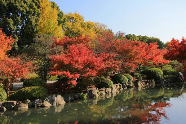 庭の京都東寺 — ストック写真