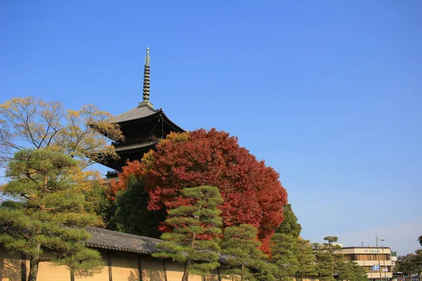 Sonbahar sezonu kyoto sırasında ji için Pagoda, Japonya