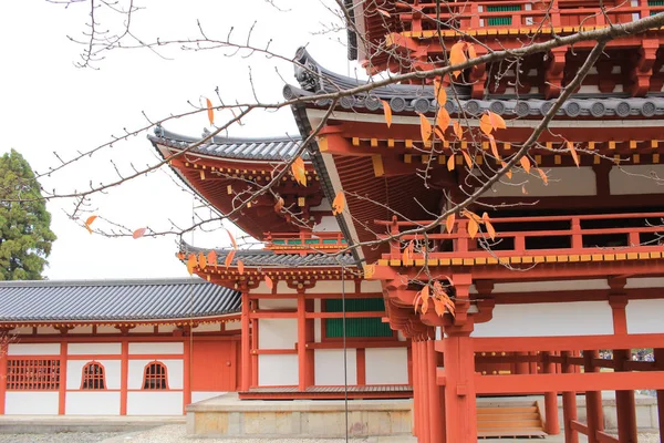 Byodo Temple Saison Automne — Photo