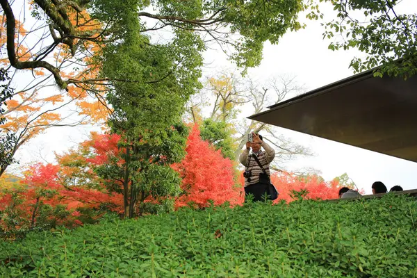 Jardim Templo Byodo Kyoto Japão — Fotografia de Stock