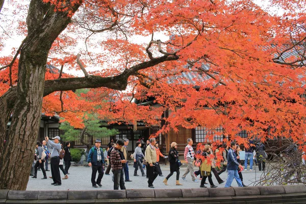 Jardín Del Templo Byodo Kyoto Japón — Foto de Stock