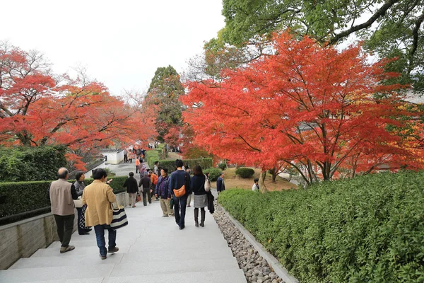 Сад Byodo Храмі Кіото Японія — стокове фото