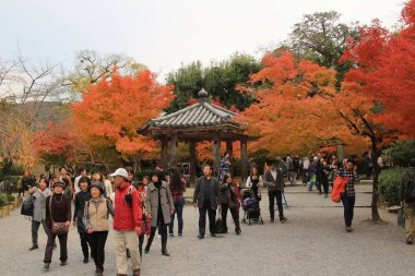 Byodo Bahçe tapınağın Kyoto, Japonya