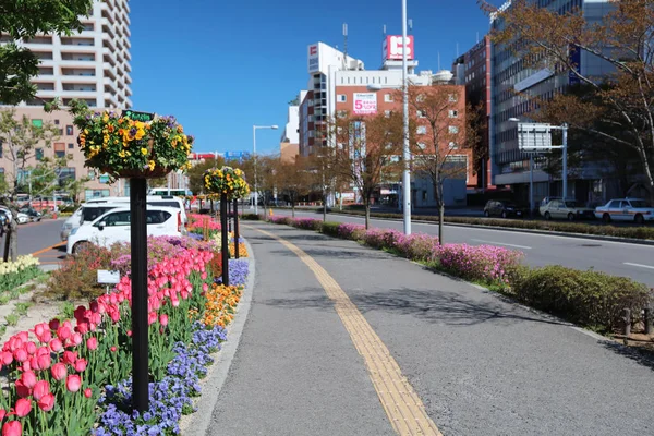 函館のランドマークのフォント鉄道北海道の駅 — ストック写真