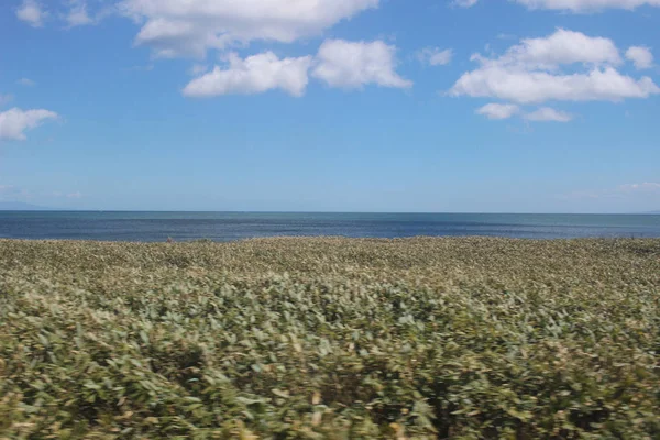 View of train window from Sapporo to Hakodate — Stock Photo, Image