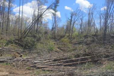 Tren penceresinden Sapporo Hakodate görünümünü