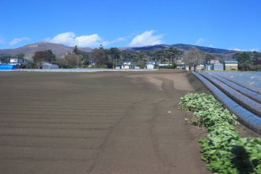 Tren penceresinden Sapporo Hakodate görünümünü