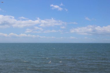 Tren penceresinden Sapporo Hakodate görünümünü