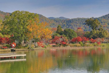 Sonbahar sezonu kyoto, daikakuji