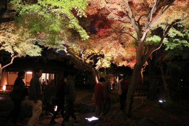 kodaiji gece sonbahar mevsimi 