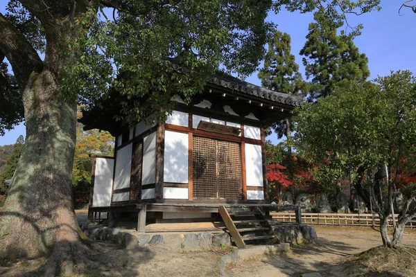 Daikaku-ji, kyoto Japonya sonbahar sezon