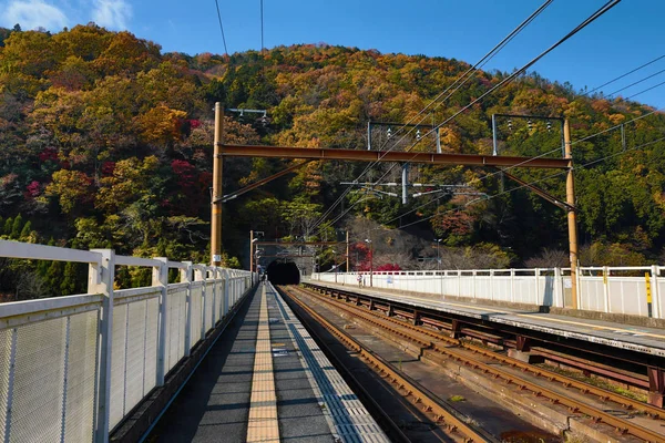 Tren istasyonu Hozukyo, Japonya