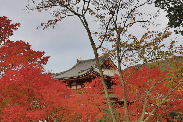 Garden Byodo Temple Kyoto Japan — Stock Photo, Image