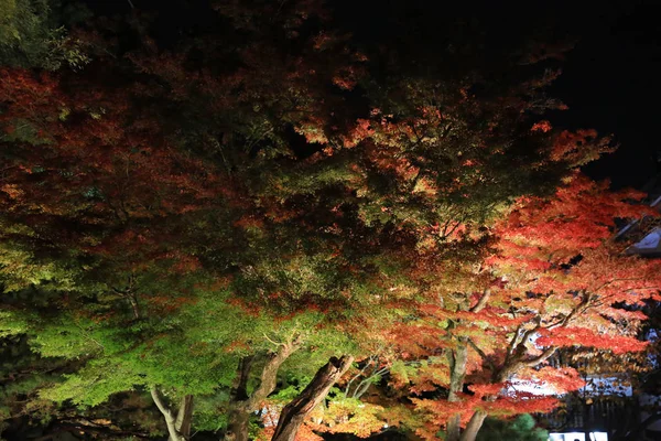 Uma Estação Outono Noite Kodaiji — Fotografia de Stock