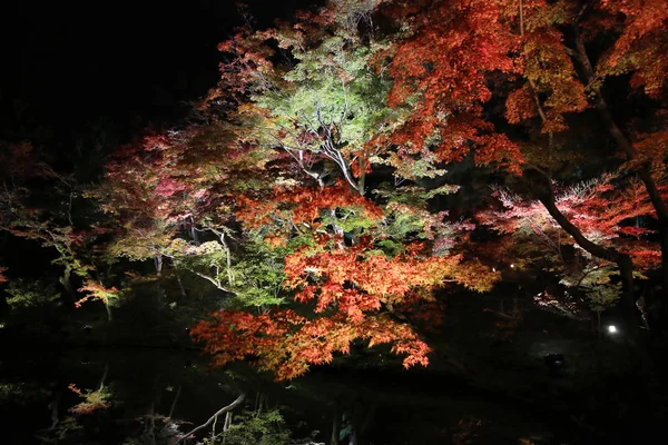 Een Val Seizoen Van Kodaiji Nacht — Stockfoto