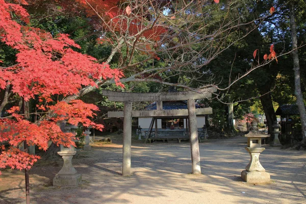 Daikaku Kjóto Japonsko Podzim — Stock fotografie