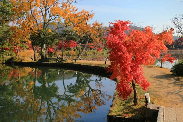 Daikakuji Hösten Säsongen Kyoto — Stockfoto