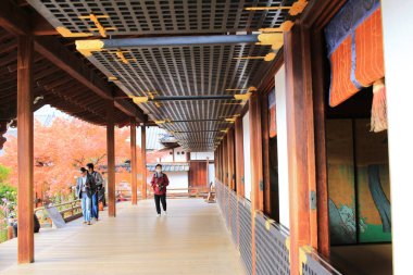 Daikaku-ji, kyoto Japonya sonbahar sezon
