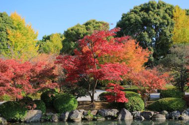 bir kyoto Bahçe için-ji Tapınağı