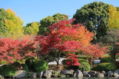 bir kyoto Bahçe için-ji Tapınağı