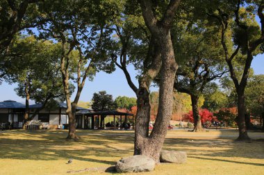 Ahşap mimarisi için-ji Tapınağı, kyoto
