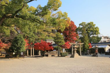 bir kyoto Bahçe için-ji Tapınağı