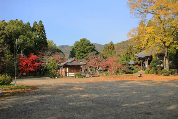 Daigaku Kyoto Japan Val Seizoen — Stockfoto