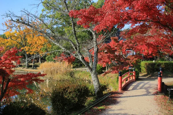 Daikakuji Осенний Сезон Киото — стоковое фото