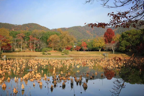 Daikakuji Saison Automne Kyoto — Photo