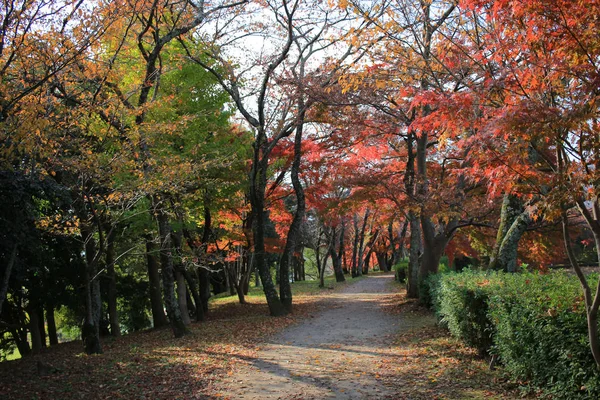 Daikaku Temporada Outono Kyoto Japão — Fotografia de Stock