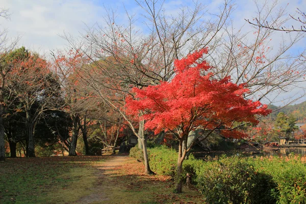 Daikaku Kyoto Japan Fall Season — Stock Photo, Image