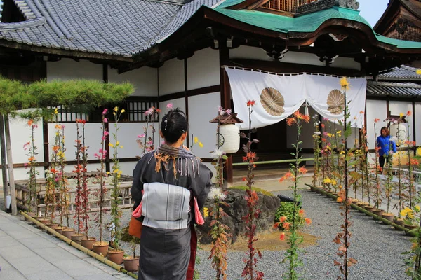 Daikaku Giappone Kyoto Stagione Autunnale — Foto Stock