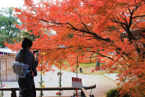 Daikaku Temporada Outono Kyoto Japão — Fotografia de Stock