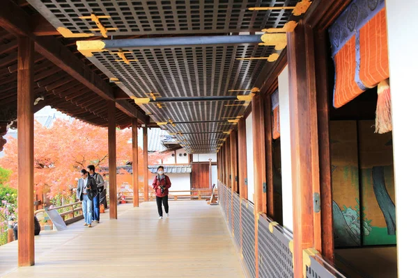 Daikaku-ji, kyoto Japonya sonbahar sezon