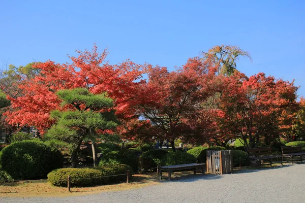 Jardín Del Templo Kyoto — Foto de Stock