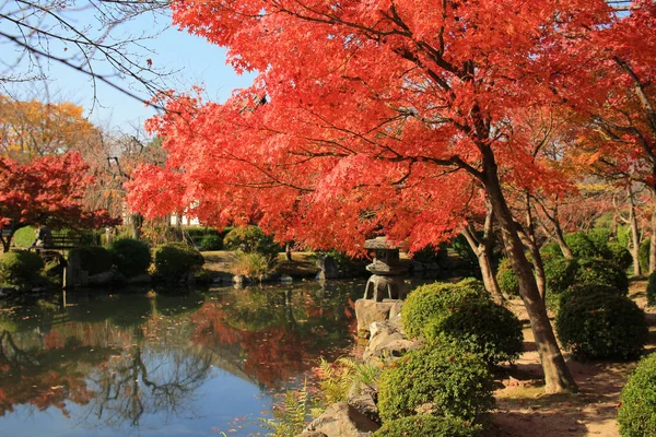 Jardim Kyoto Templo — Fotografia de Stock