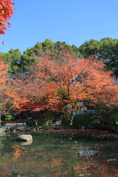 Giardino Tempio Kyoto — Foto Stock