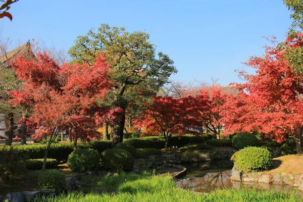 Jardim Kyoto Templo — Fotografia de Stock